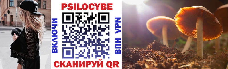 OMG сайт  Туринск  Псилоцибиновые грибы мухоморы  где купить  